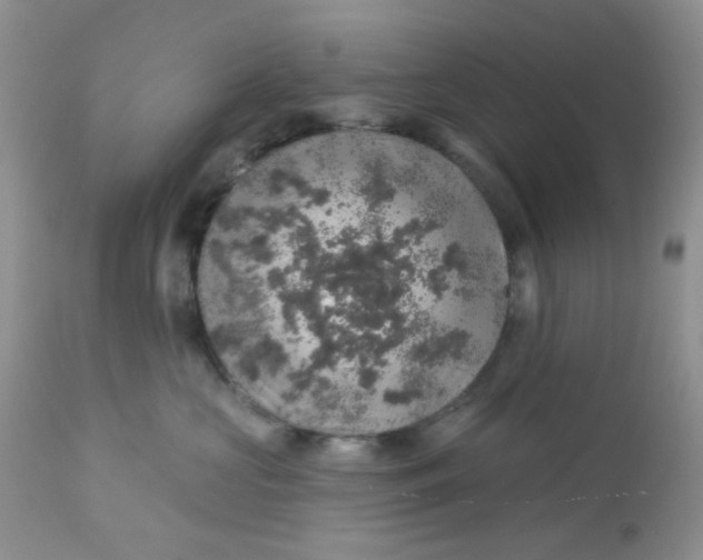 X0000113570573200910091441