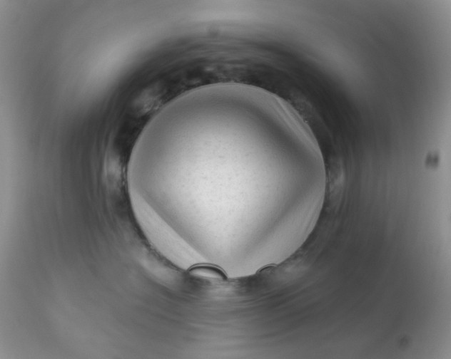 X0000113570574200910091441