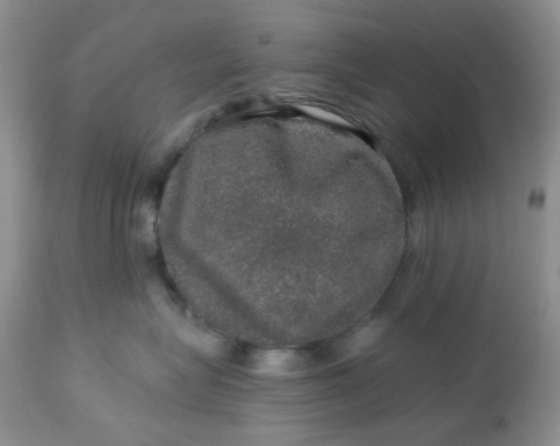 X0000113570575200910091441