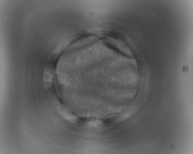 X0000113570576200910091441