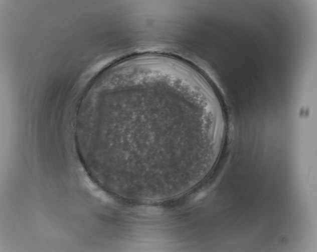 X0000113570577200910091441