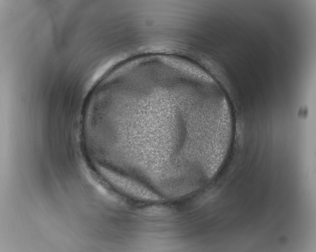 X0000113570578200910091441