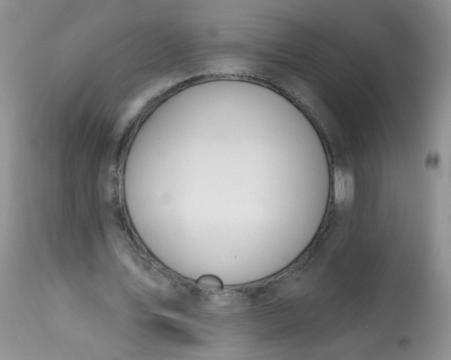 X0000113570579200910091441