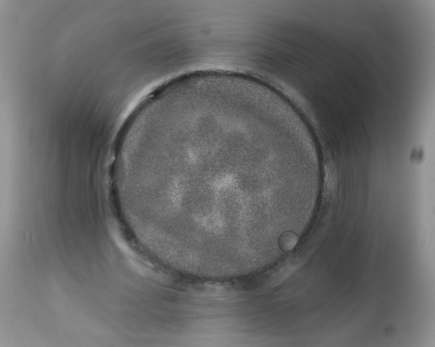 X0000113570580200910091441