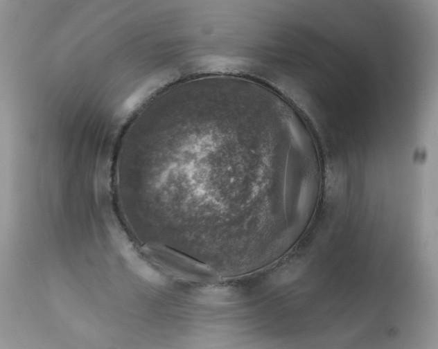 X0000113570581200910091441