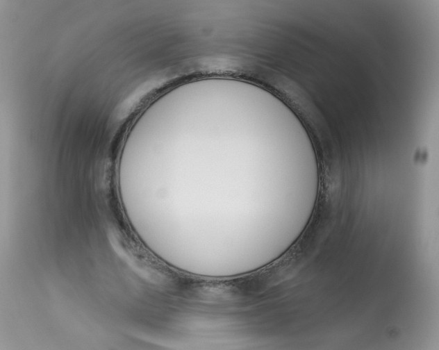 X0000113570583200910091441