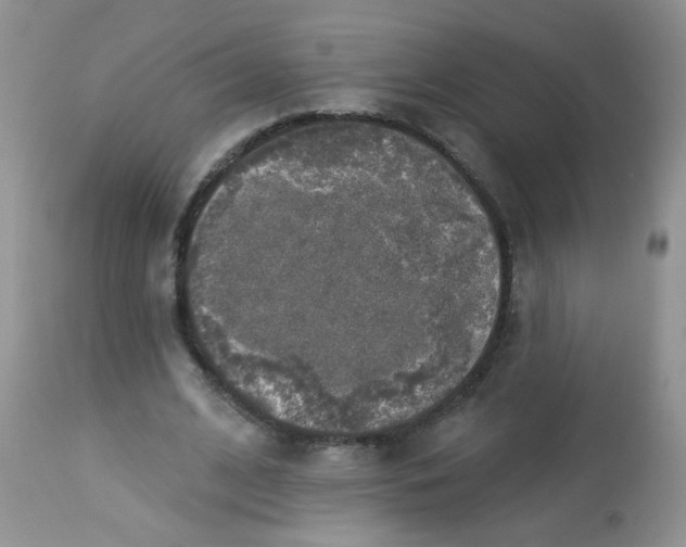 X0000113570584200910091441