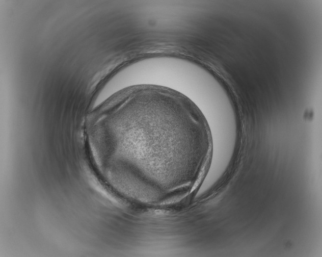 X0000113570585200910091441