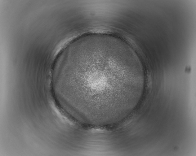 X0000113570586200910091441