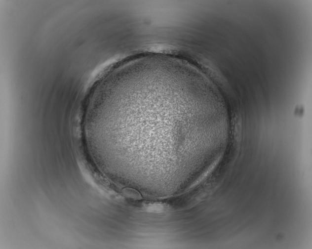 X0000113570587200910091441