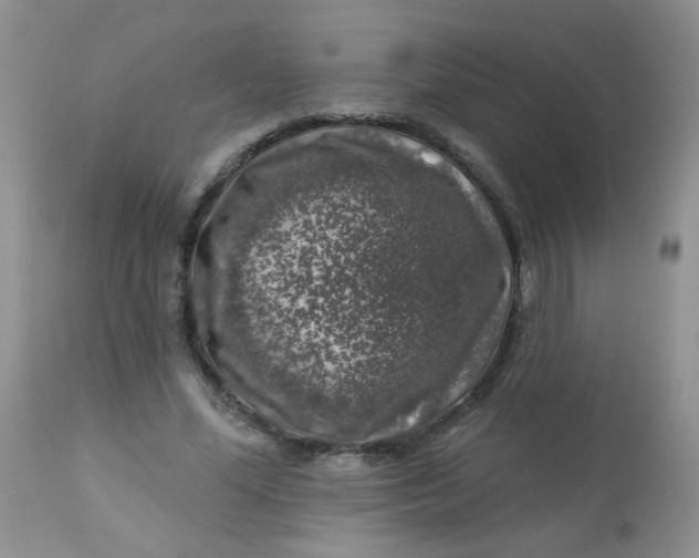 X0000113570588200910091441