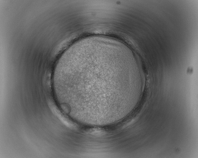 X0000113570589200910091441