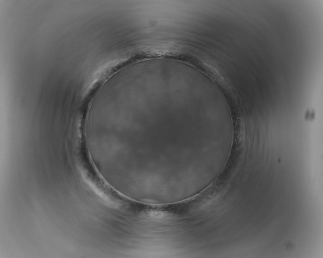 X0000113570590200910091441