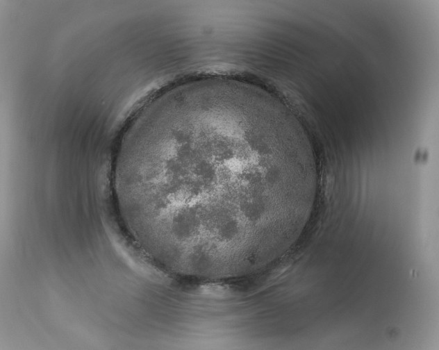 X0000113570591200910091441