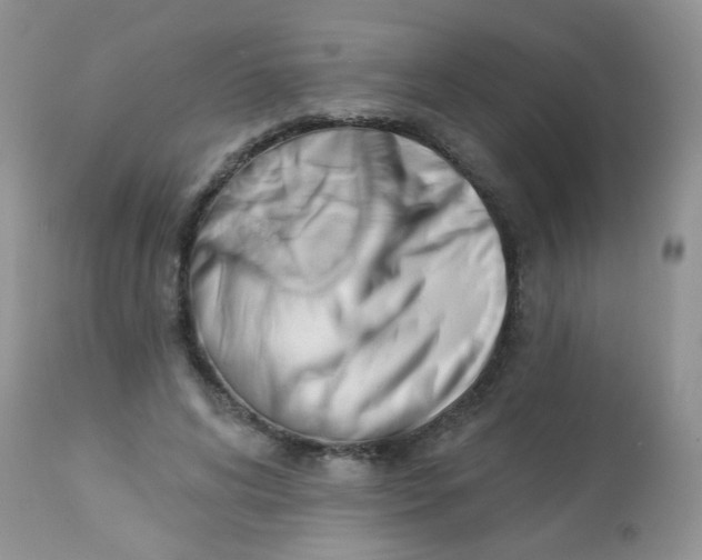 X0000113570592200910091441