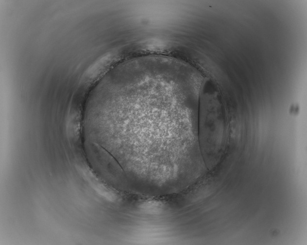 X0000113570593200910091441