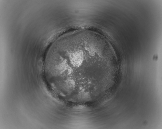 X0000113570594200910091441