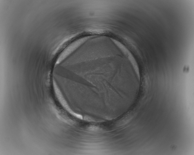 X0000113570596200910091441