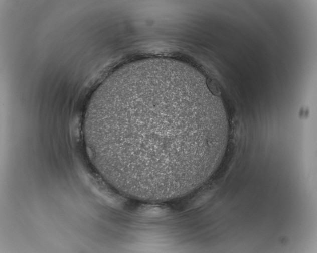 X0000113570597200910091441