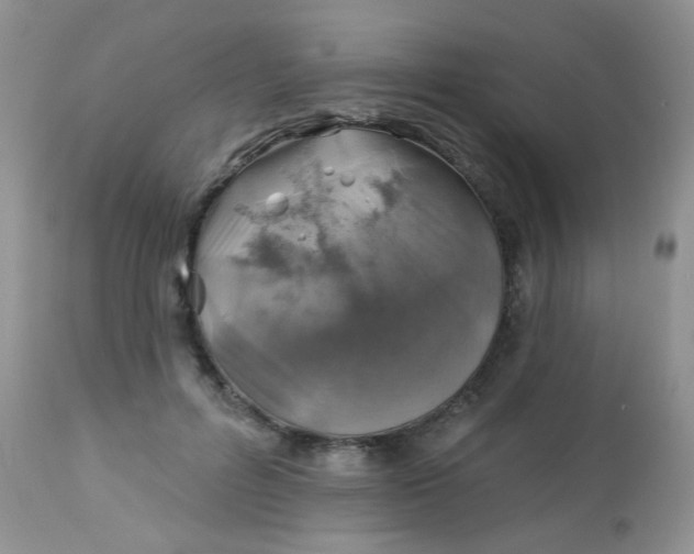 X0000113570600200910091440