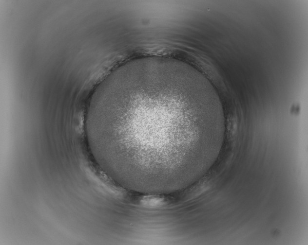 X0000113570602200910091440