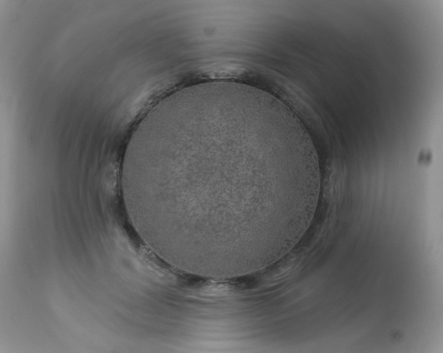 X0000113570604200910091440