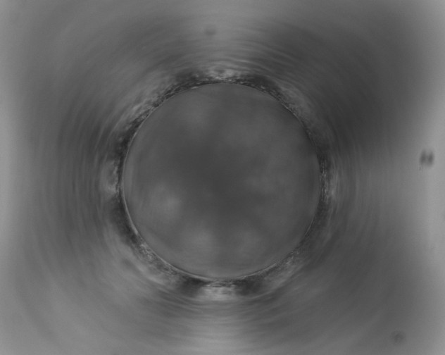 X0000113570606200910091440