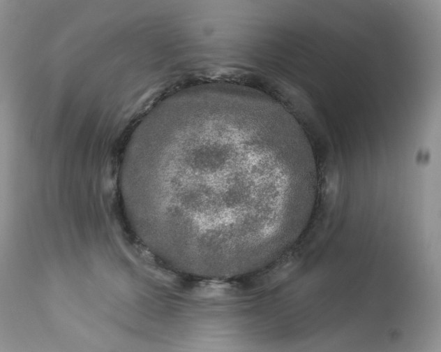 X0000113570607200910091440