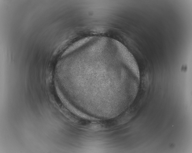 X0000113570608200910091440