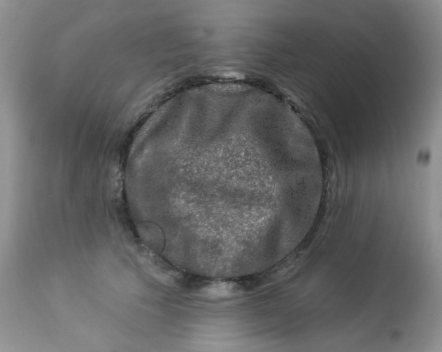 X0000113570609200910091440