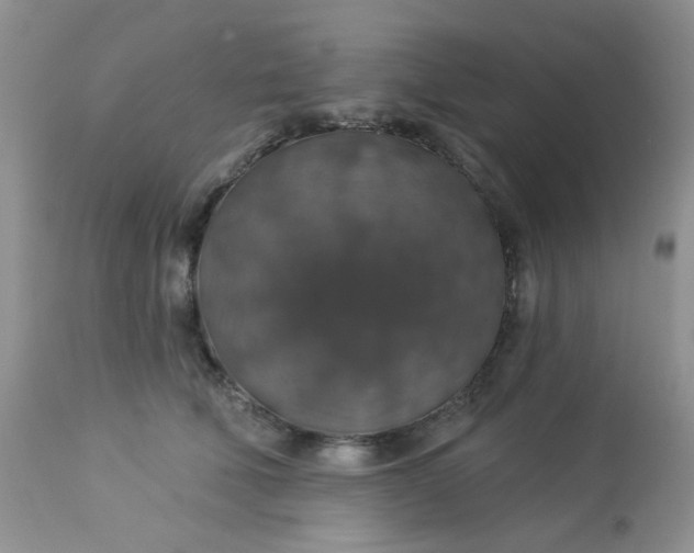 X0000113570610200910091440