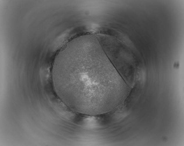 X0000113570611200910091440