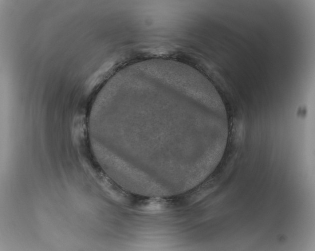 X0000113570612200910091440