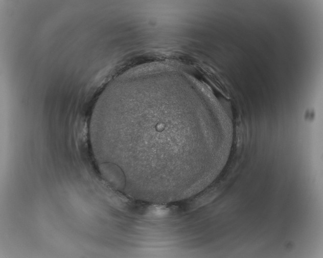 X0000113570613200910091440