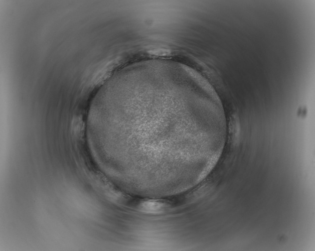 X0000113570614200910091440