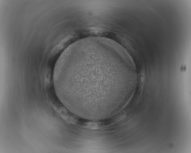 X0000113570615200910091440