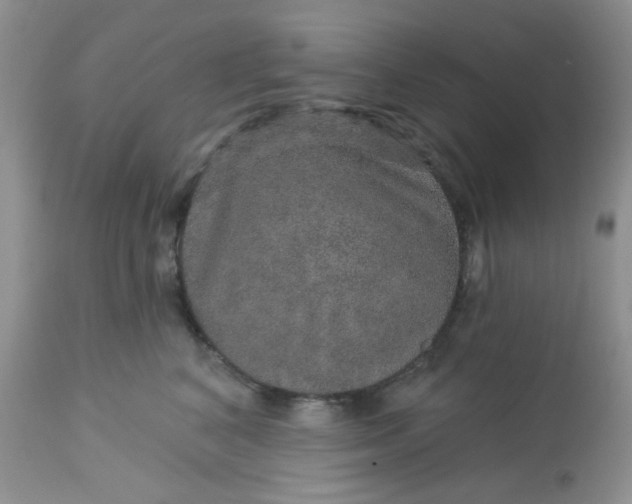 X0000113570616200910091440