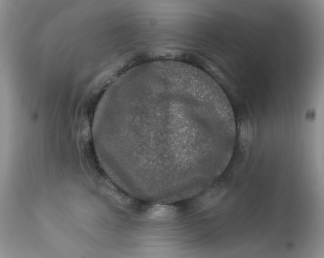 X0000113570617200910091440