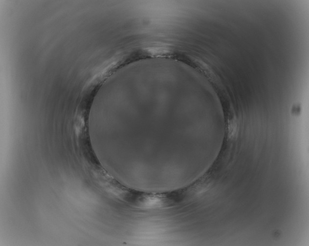 X0000113570618200910091440