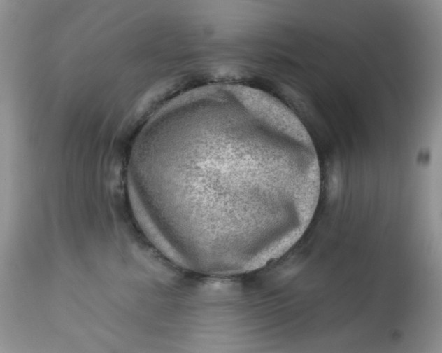 X0000113570619200910091440