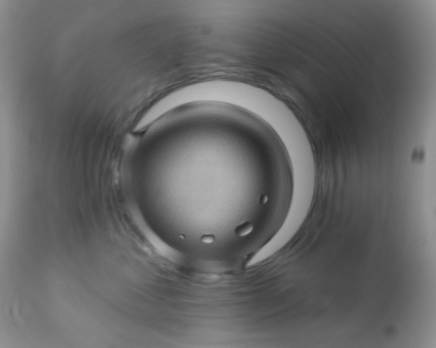 X0000113570621200910091440