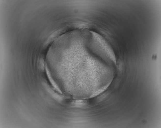 X0000113570622200910091440