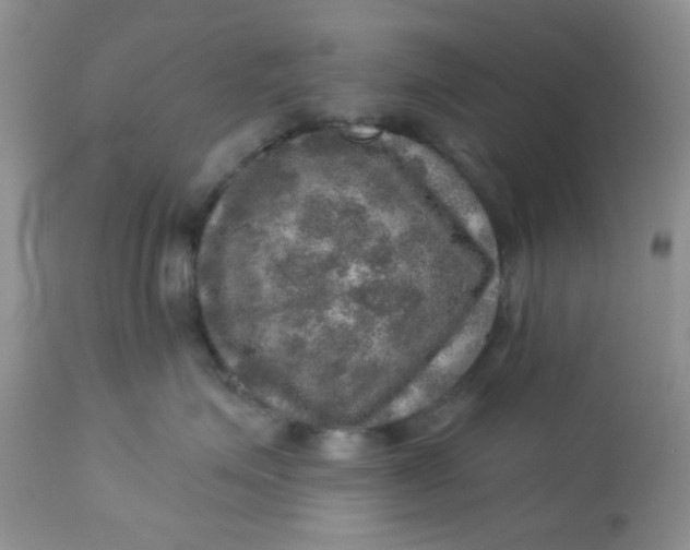 X0000113570623200910091440