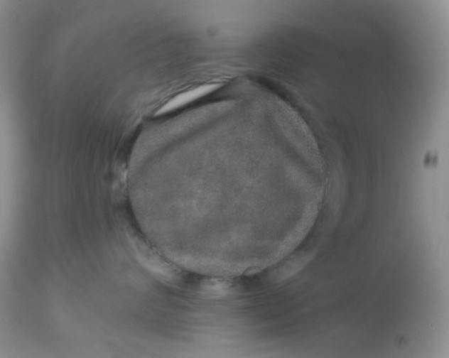 X0000113570624200910091440