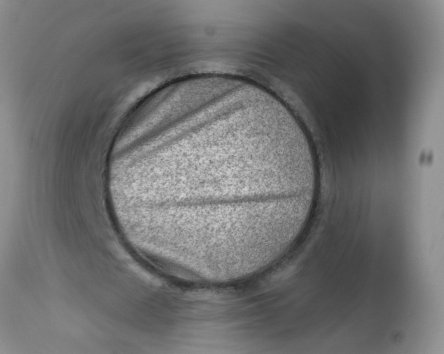 X0000113570625200910091439