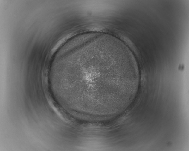 X0000113570626200910091440