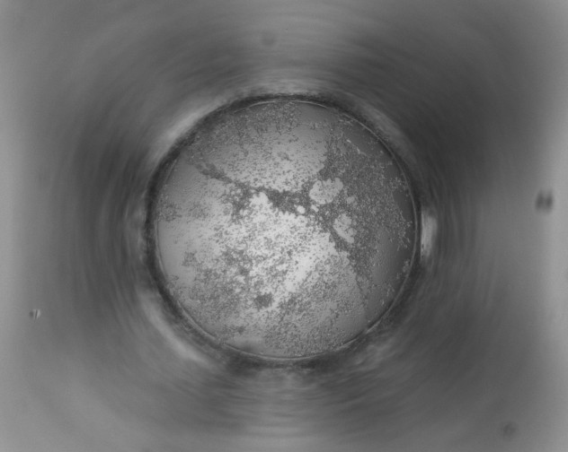 X0000113570627200910091440