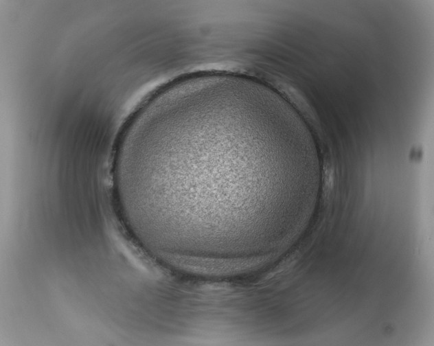 X0000113570628200910091440