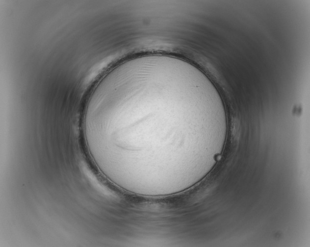 X0000113570629200910091440