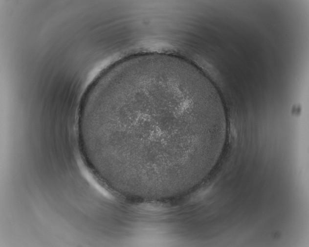 X0000113570630200910091440